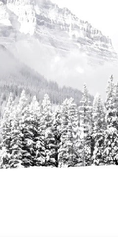 Papier peint panoramique chalet en montagne, mural concept, tendance