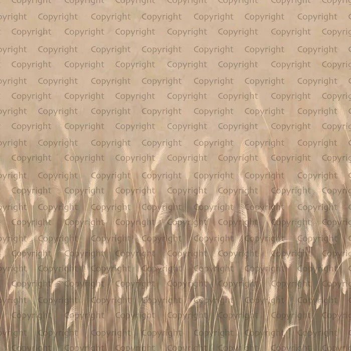 Papier peint panoramique herbes sauvages beige