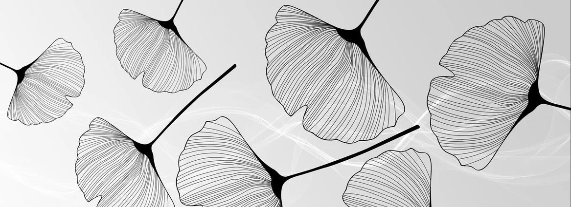 Papier peint panoramique tendance ginkgo noir