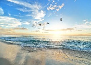 Papier peint Plage Paradisiaque, XXL, tendance