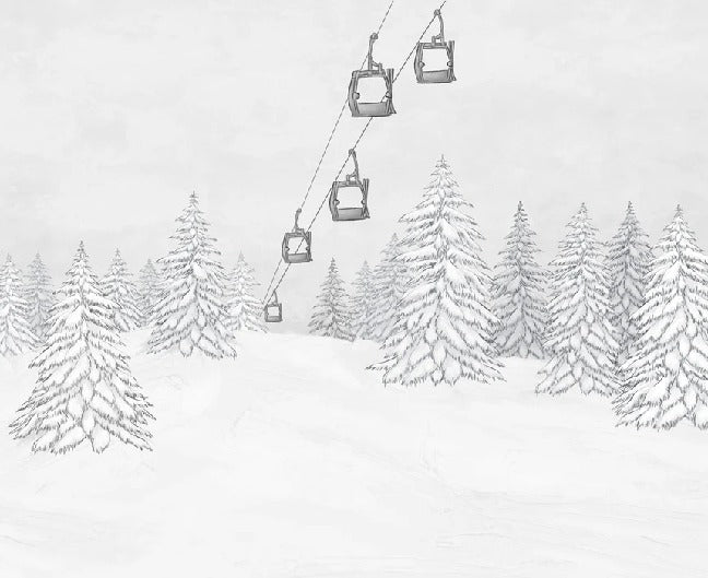 Papier peint montagne télécabine noir & blanc