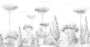 Papier peint panoramique forêt antique