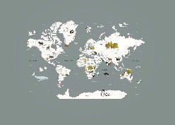Papier peint Carte du monde en Francais enfant gris
