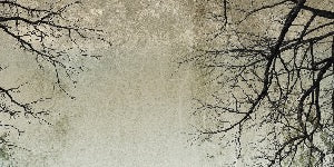 Papier peint Forêt Enchantée, XXL, tendance