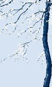 Papier peint panoramique fleur Sakura