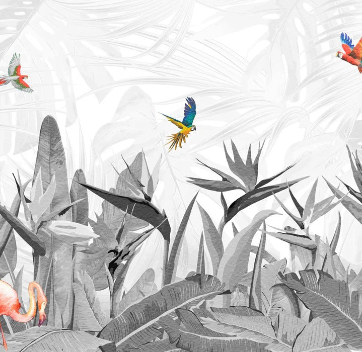 Papier peint noir et blanc oiseau du paradis