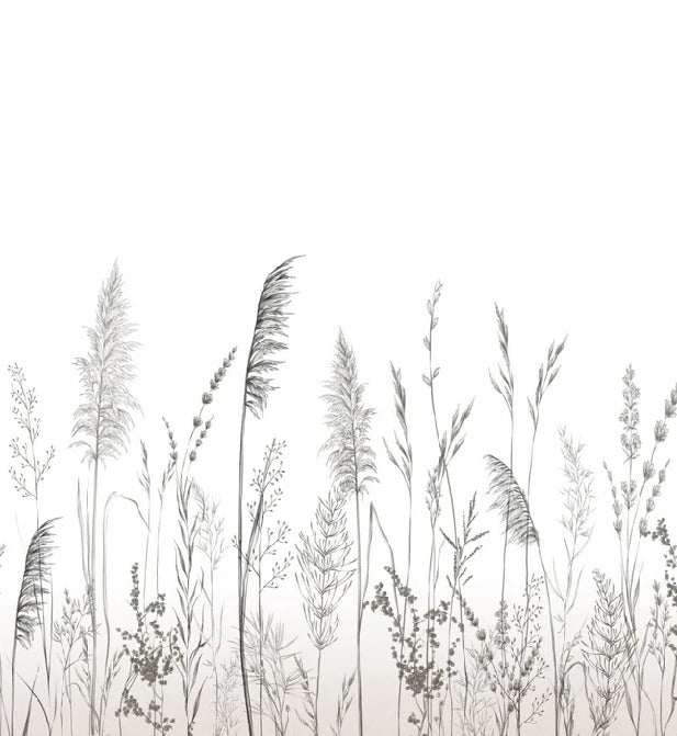 Papier peint poétique pampa, XXL, tendance