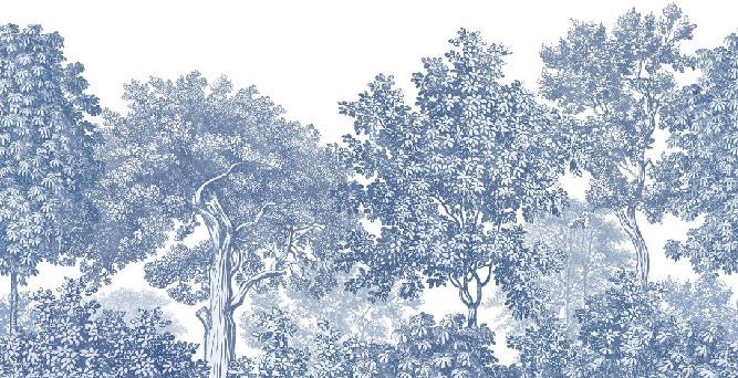 Papier peint paysage forêt gravure bleu