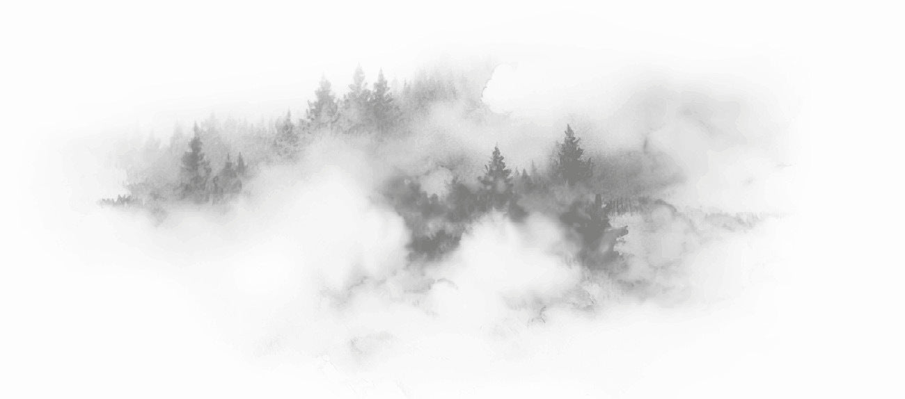 Papier peint brume des Cimes gris, XXL, tendance