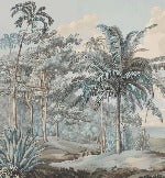 Papier peint paysage Célèbes bleuté, XXL, tendance