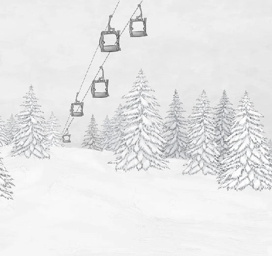 Papier peint montagne télécabine noir & blanc