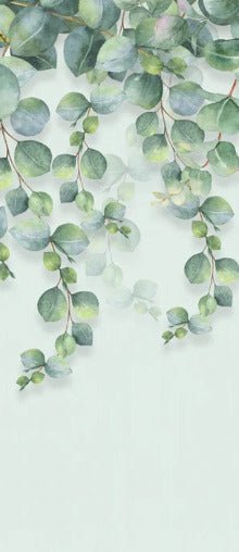 Papier peint wc nature plante Eucalyptus