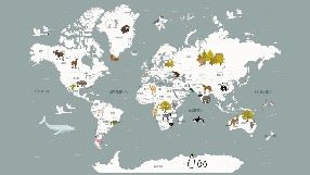Papier peint Carte du monde en Francais enfant gris