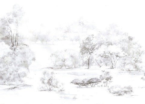 Papier peint forêt de pin aquarelle