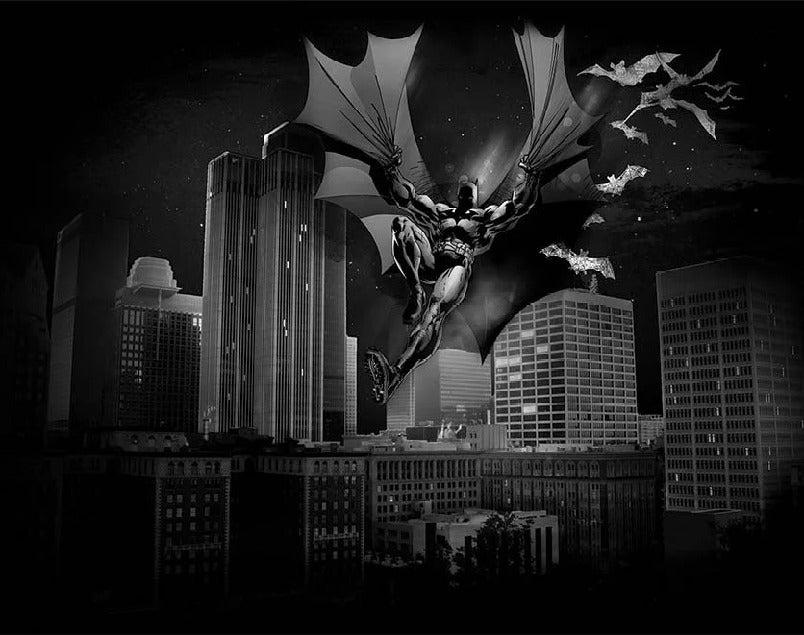 Papier peint panoramique batman film héro all dark