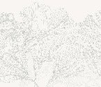 Papier peint panoramique gris et blanc valse des fleurs