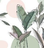 Papier peint panoramique végétal graphique vert, XXL, tendance