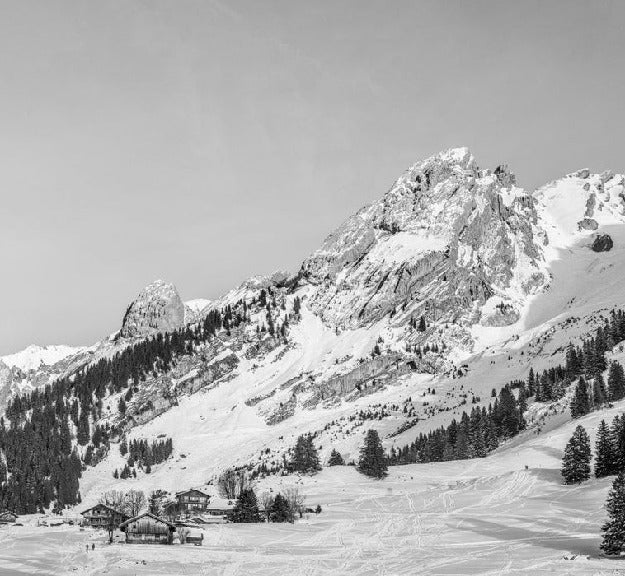 Papier peint panoramique chalet alpage