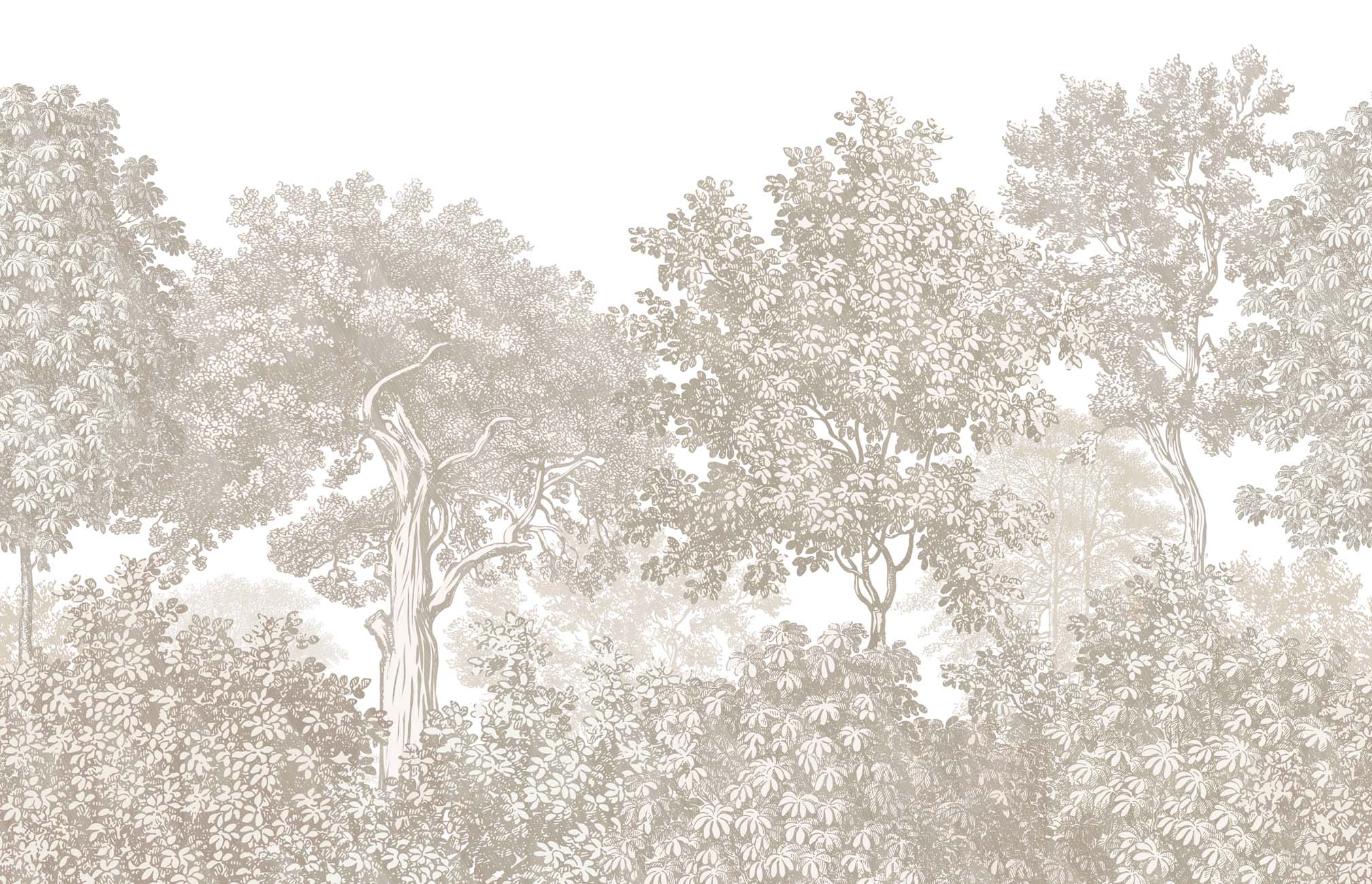Papier peint paysage forêt gravure beige, XXL, tendance