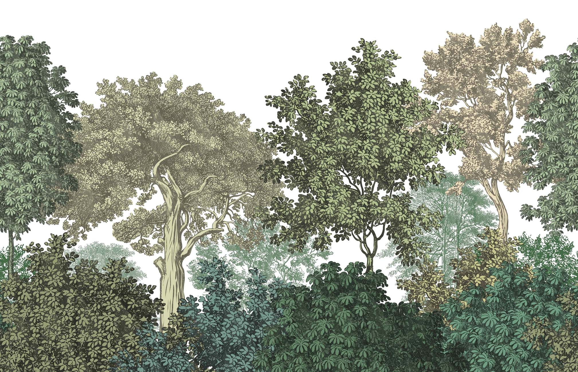 Papier peint paysage forêt gravure, XXL, tendance
