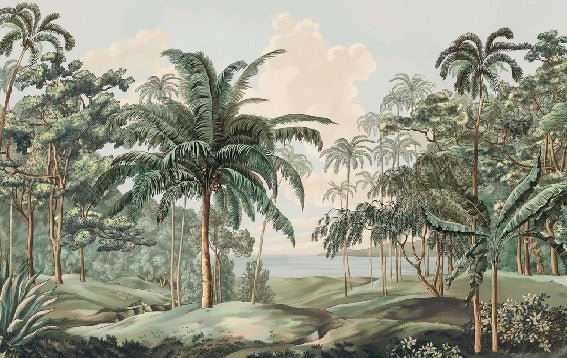 Papier peint paysage Célèbes