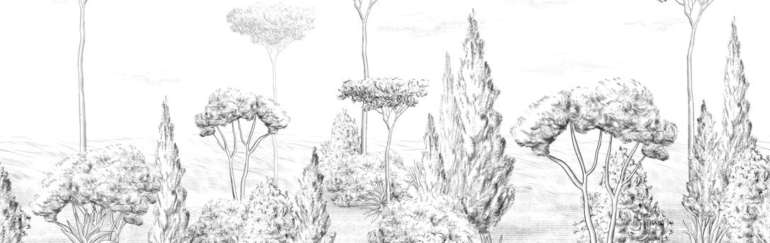 Papier peint panoramique forêt antique