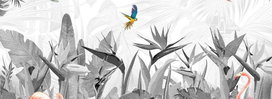 Papier peint noir et blanc oiseau du paradis, XXL, tendance