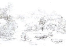 Papier peint forêt de pin aquarelle