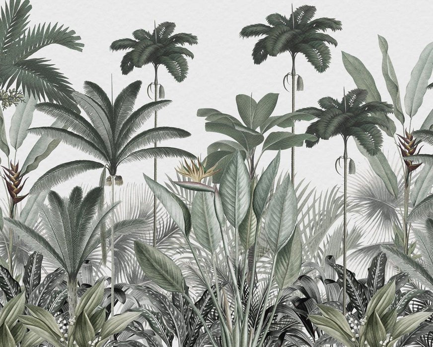 Papier peint panoramique jungle tree