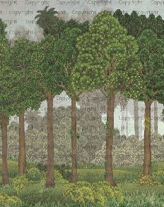 Papier peint grands arbres illustré