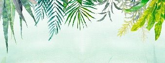 Papier peint Jungle