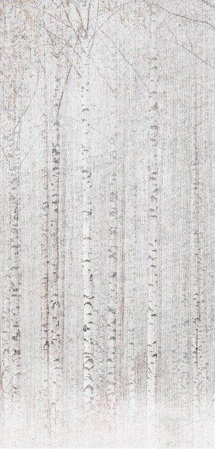 Papier peint forêt de bouleaux enveloppante