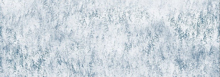 Papier peint forêt brumeuse Alpine design