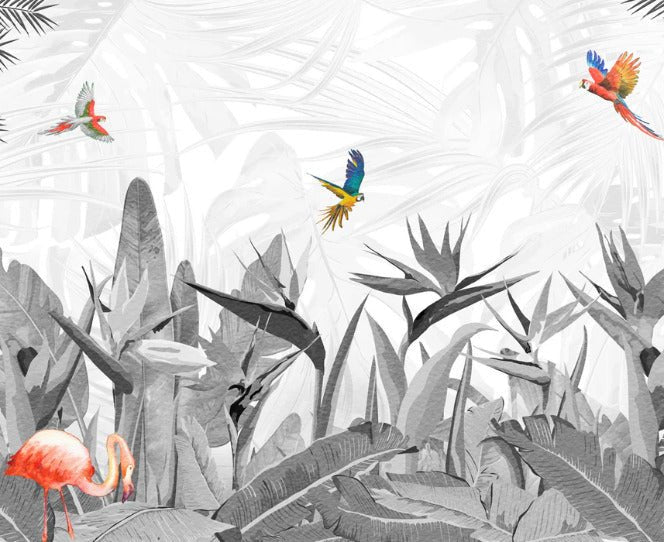 Papier peint noir et blanc oiseau du paradis, XXL, tendance