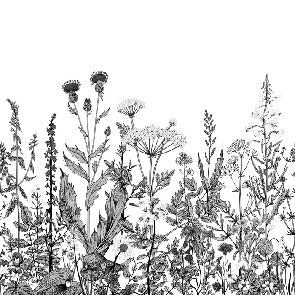 Papier peint botanique folk noir et blanc