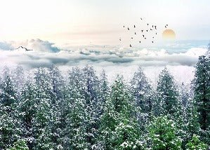 Papier peint panoramique intissé forêt de sapin neige