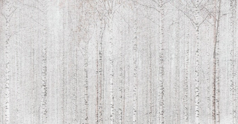 Papier peint forêt de bouleaux enveloppante