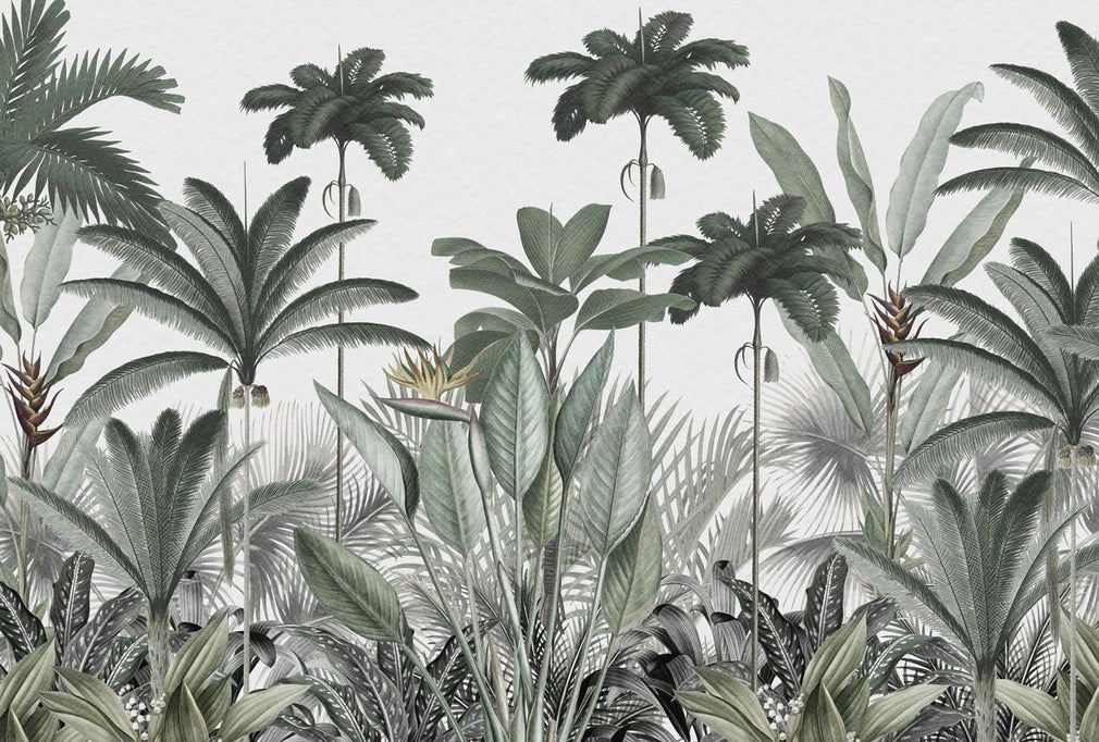 Papier peint panoramique jungle tree
