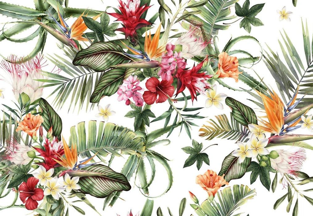 Papier peint tropical & Fleurs colorées