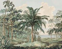 Papier peint paysage Célèbes