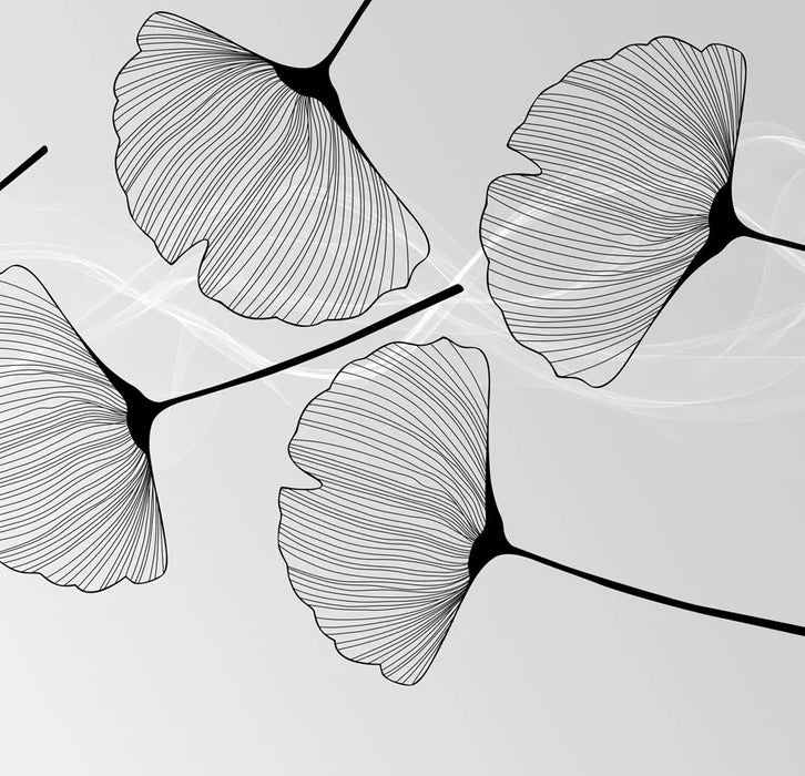 Papier peint panoramique tendance ginkgo noir
