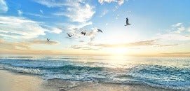 Papier peint Plage Paradisiaque, XXL, tendance