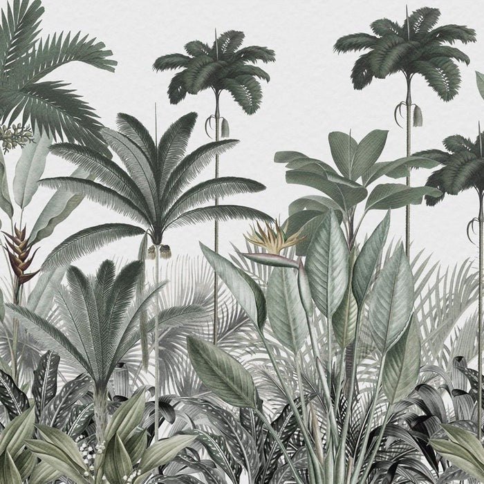 Papier peint panoramique jungle tree