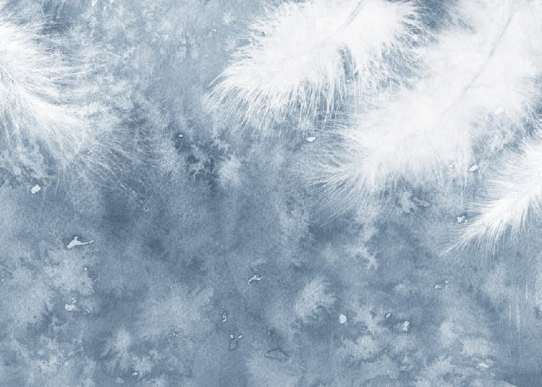 Papier peint Plume Blanche