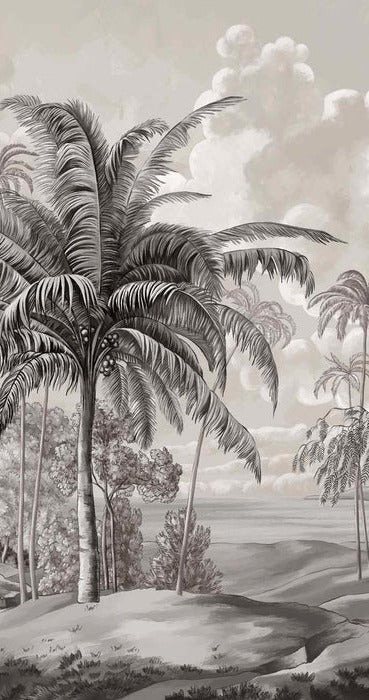 Papier peint paysage Célèbes noir et blanc