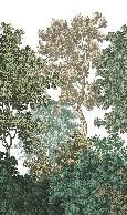 Papier peint restaurant paysage forêt gravure, XXL, tendance