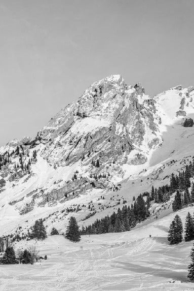 Papier peint panoramique chalet alpage
