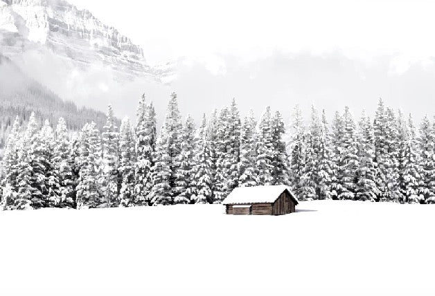 Papier peint panoramique chalet en montagne