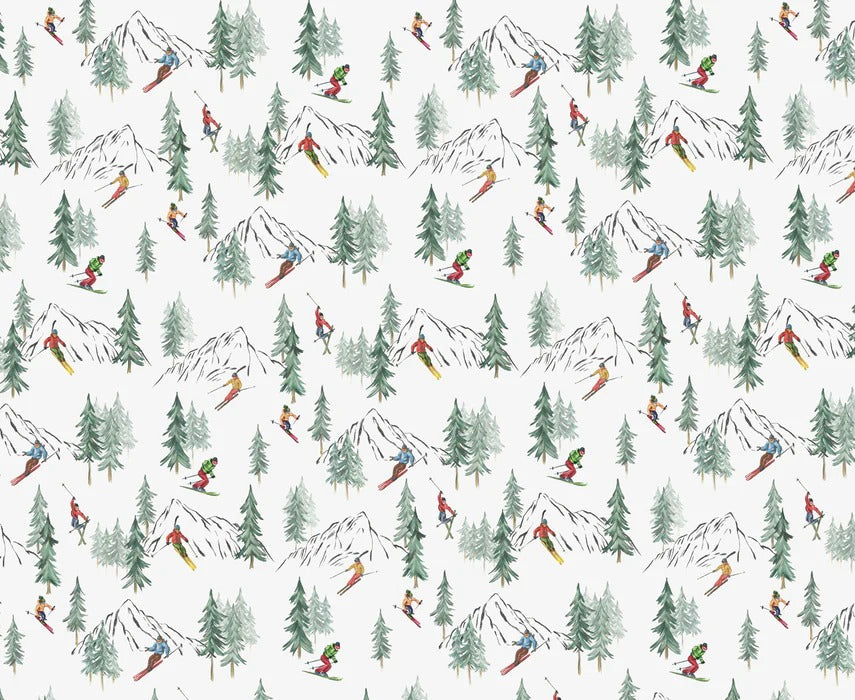 Papier peint Alpine glisse