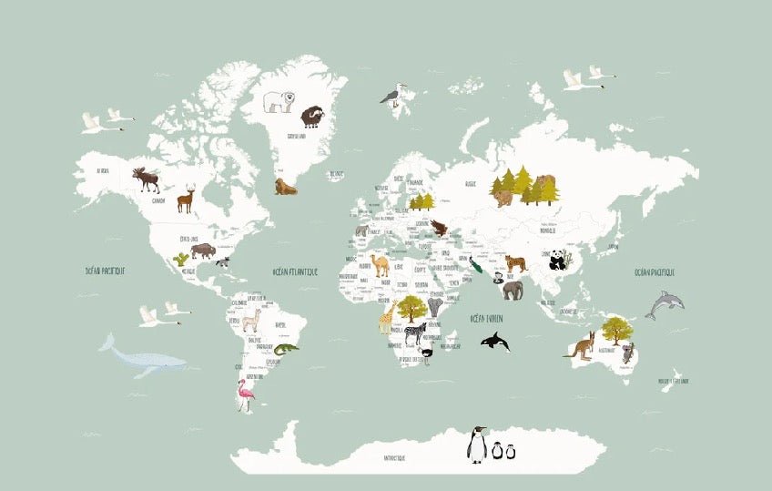Papier peint Carte du monde en Francais enfant vert, XXL, tendance